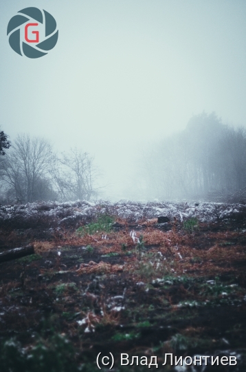 Зимний пейзаж туман